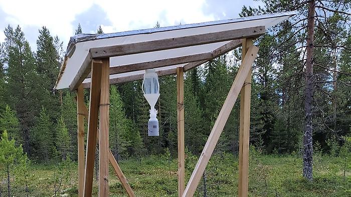 Krondroppsnätet, torrdeposition med strängprov på öppet fält.